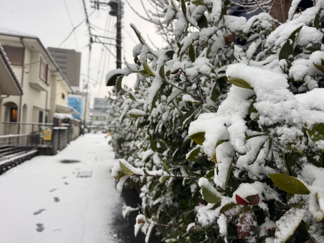 都心では大雪、町田市の住宅街
