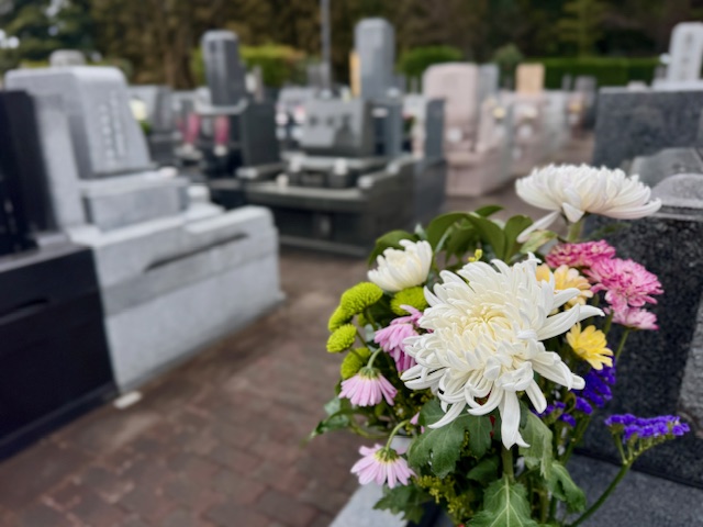 陽光台霊園のお墓と菊の花