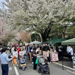 成城さくらフェスティバルの様子