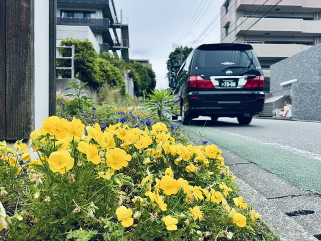 南町田病院の花壇と福祉介護タクシー車両